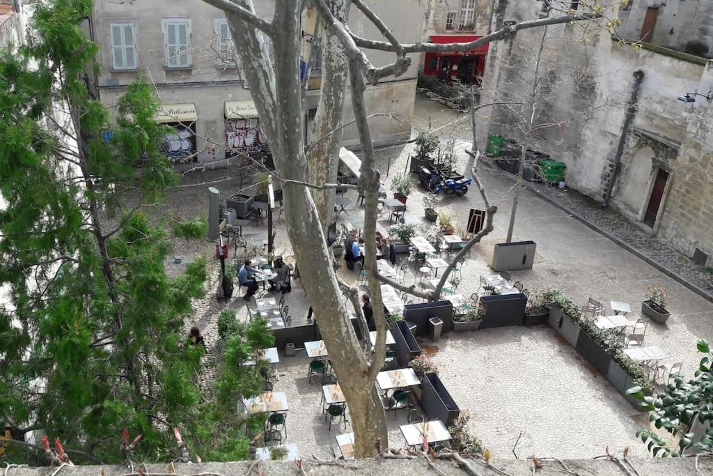 アヴィニョンRenove, Vue Sur Palais Des Papes, Terrasse Et Wifi Troisieme Etageアパートメント エクステリア 写真